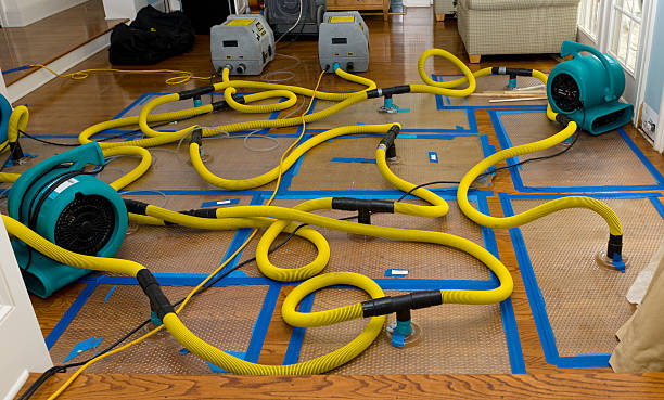 Professional Structural Drying And Dehumidification technician working in Hammond, IN
